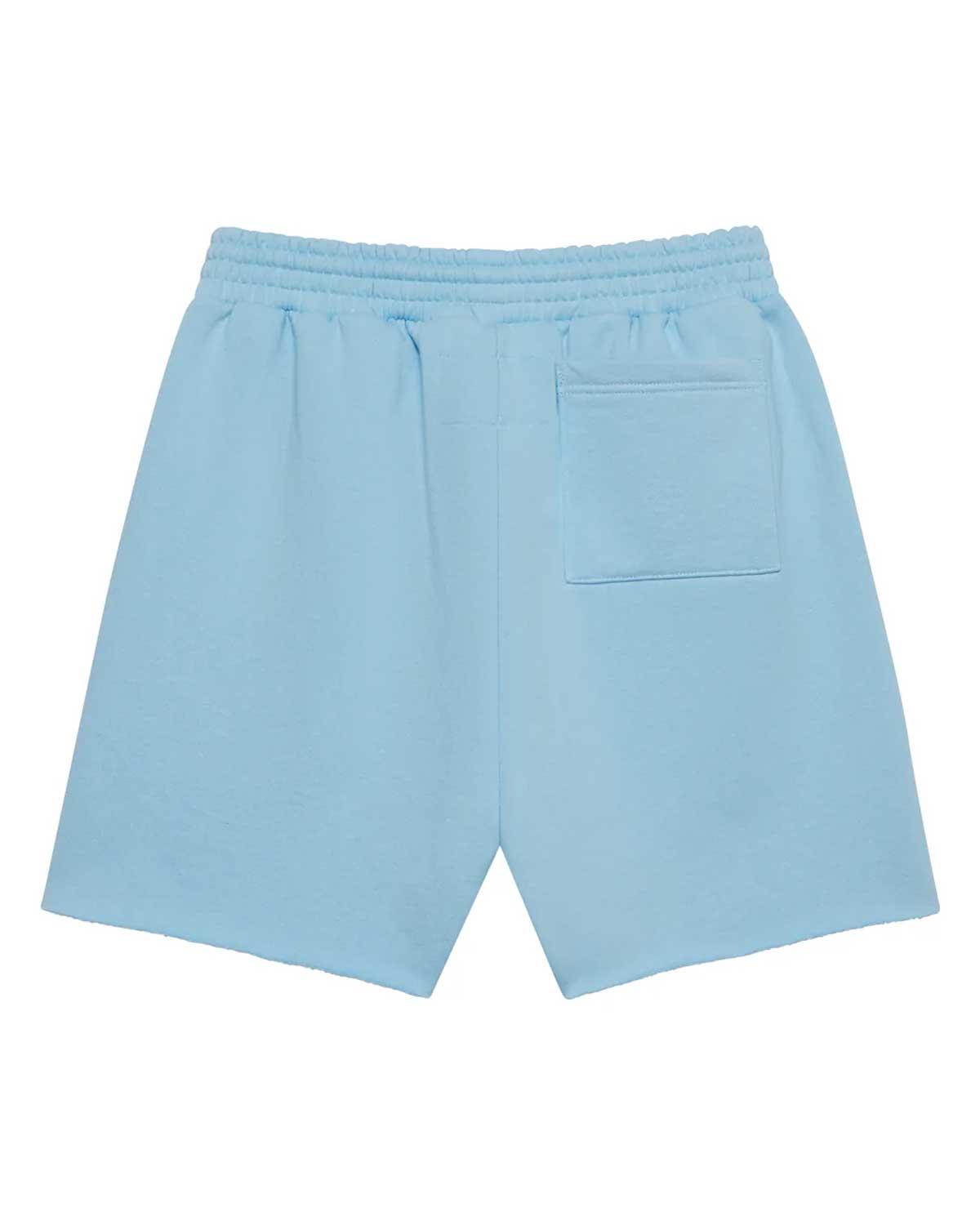 Sp5der OG Web Sweatshorts Sky Blue